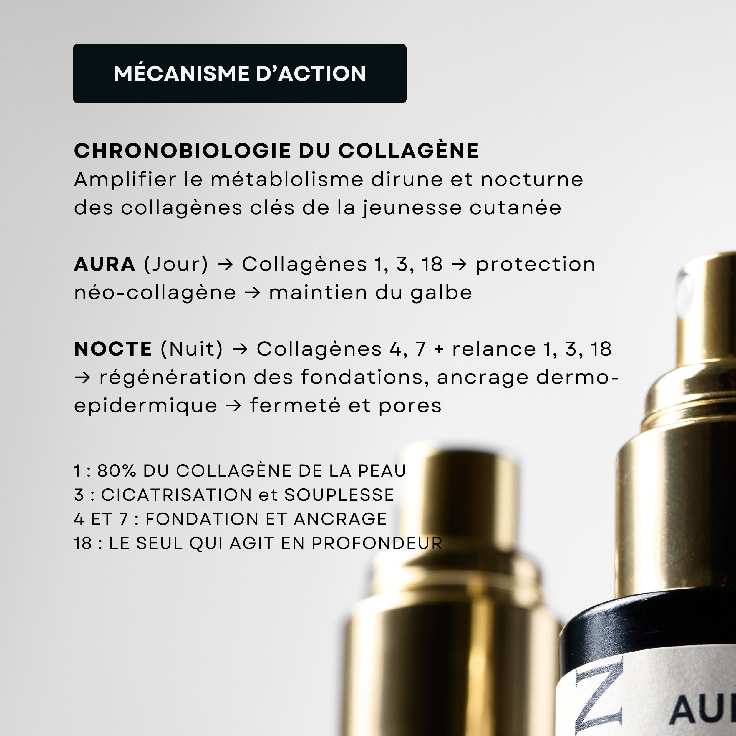AURA + NOCTE Duo, complete anti-aging routine, Day and Night